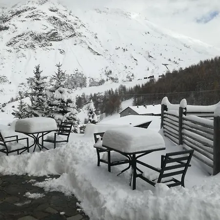 Bait De Angial ليفينو