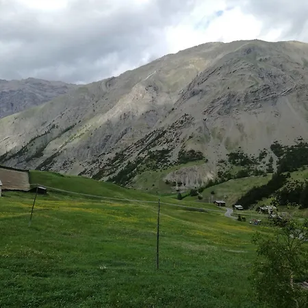 Bait De Angial Livigno
